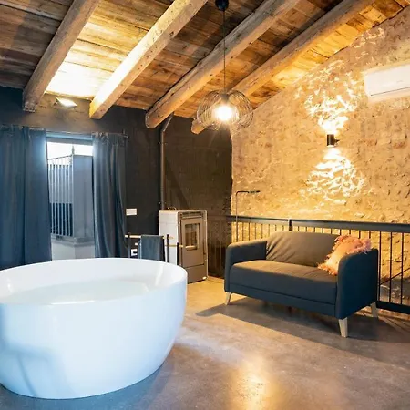 Mas Xalmes Holiday home *