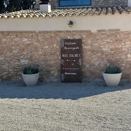 Mas Xalmes Holiday home *